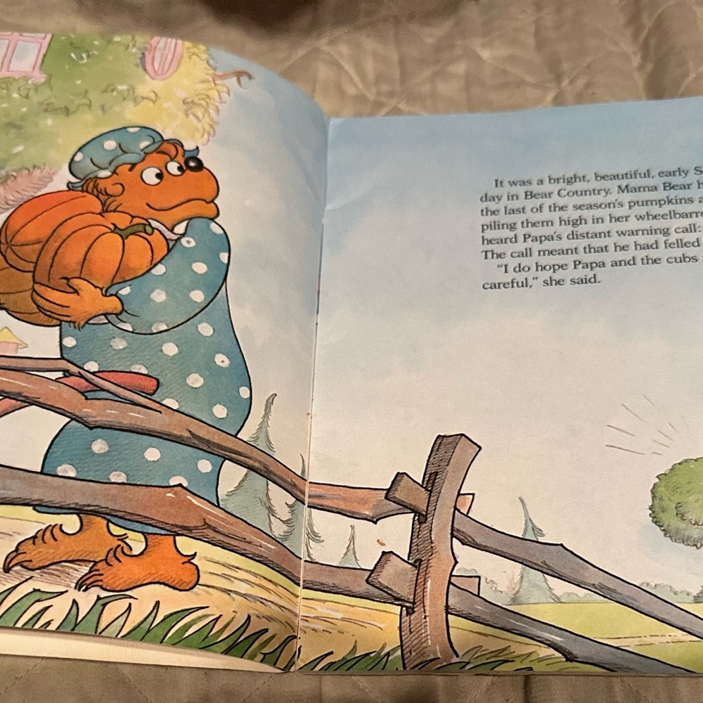 The Berenstain Bears and ‘Too Much Birthday' - Picture 3 of 7